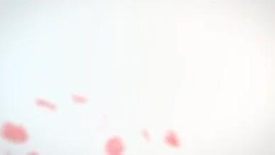 浪漫玫瑰花瓣过渡的婚礼开场AE模板视频的预览图